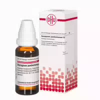 Syzygium Jambolanum D 2 Dilution 20 ml Dilution