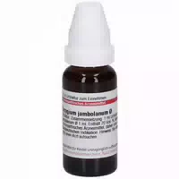 Dhu Syzygium Jambolanum Urtinktur D1 20 ml Dilution