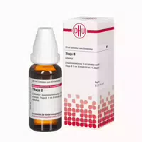 Thuja Urtinktur 20 Ml