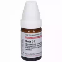 Sambucus Nigra D 2 Globuli 10 g Globuli