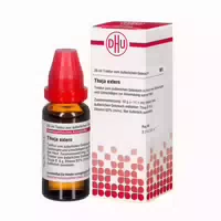 Thuja Extern