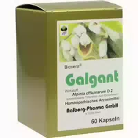 Galgant Kapseln 60 St Kapseln