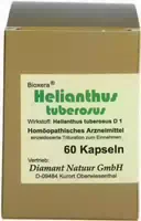 Helianthus Tuberosus Kapseln 60 Stück
