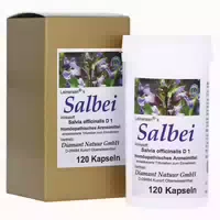 Salbei Kapseln 120 st
