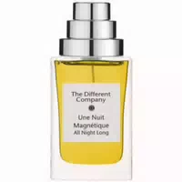 The Different Company Une Nuit Magnetique Eau De Parfum 100ml Spray 0,1 l