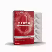 Splmnt Lab X Cardio 60 St