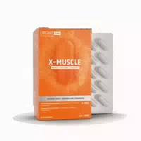 Splmnt Lab X Muscle Mit Magnesium, L Carnitin & Aminosäuren 60 St