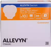 Allevyn Sacrum Groß 22 X 22 cm Wundverband Haften 10 Stück