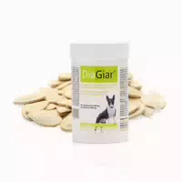 Dogosenior 60 G