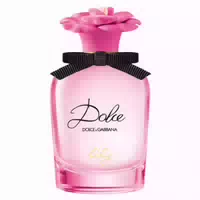 Dolce & Gabbana Light Blue Pour Femme Eau De Toilette 25 ml