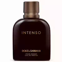 Dolce & Gabbana Pour Homme Intenso Eau De Parfum 75 ml