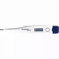 Domotherm Easy Digitales Fieberthermometer 1 St