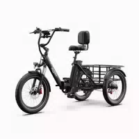 Onesport Ot30 Pro 20 Dreirad Falt E Trike 48v 18ah 1 st