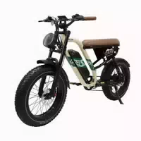 Onesport W66 E Bike für Erwachsene, 48 V, 13,5 Ah 1 st