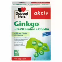 Ginkgo Vitamin B Cholin 40 Kapseln