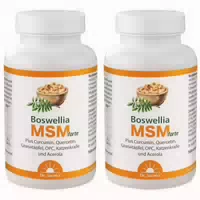 Dr Jacobs Boswellia Msm Forte mit Weihrauch Quercetin Opc 90 st