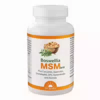 Dr Jacobs Boswellia Msm Forte Mit Weihrauch Quercetin Opc 90 St