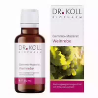 Gemmo Mazerat Weinrebe Dr Koll Vitis Vinifera Tropfen