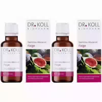 Dr Koll Gemmo Mazerat Eiche 50 ml