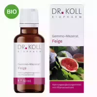 Gemmo Mazerat Feige Dr Koll Ficus Carica Tropfen 50 ml