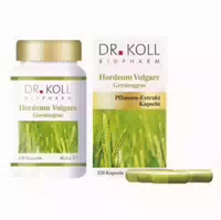 Gerstengras Hordeum Vulgare Kapseln