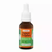 Dr Muches Ingwer Tropfen 20 ml Tropfen