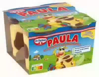 Dr Oetker Paula Pudding Vanillegeschmack mit Schoko Flecken