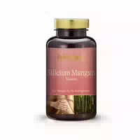Dr Peter Hartig Silicium Mangan Bambus, Bindegewebe 66 G