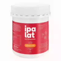 Ipalat Halspastillen Honigmild Mentholfrei Ohne Zucker 40 St Pastillen
