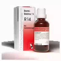 Dormi Gastreu S R 14 Tropfen zum Einnehmen 22 ml Mischung