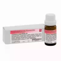 Dr Reckeweg Echinacea Angustifolia D6 Globuli 10 g