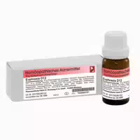 Dr Reckeweg Euphrasia D12 Globuli 10 G