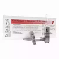 Glandulae F Gastreu R 20 Injekt Ampullen 10x2 Ml Ampullen