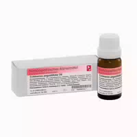 Echinacea Angustifolia D 6 Globuli 10 G Globuli
