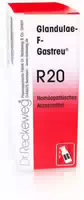 Glandulae F Gastreu R 20 Tropfen zum Einnehmen 50 ml Tropfen