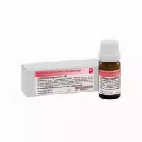 Dr Reckeweg Echinacea Angustifolia D6 Globuli