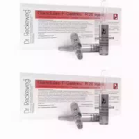 Glandulae F Gastreu R 20 Injekt Ampullen 10x2 ml Ampullen