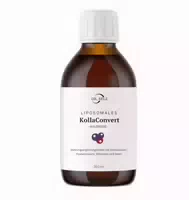 Dr Selz Liposomales Kollaconvert mit Vollagen