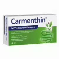 Carmenthin bei Verdauungsstörungen 42 Magensaftresistente Weichkapseln Hametum Medizinischer Reinigungsschaum 100 ml