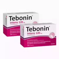Tebonin Intens 120 Mg 2x120 St