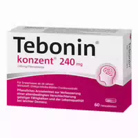 Tebonin Konzent 240 Mg 120 St Filmtabletten