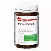 Ingwer Extrakt
