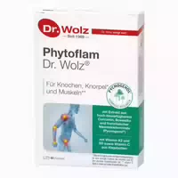 Phytoflam Dr Wolz Kapseln 60 st