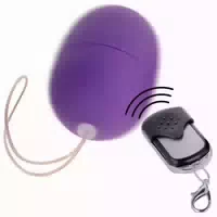 Online Vibro Ei mit Fernbedienung
