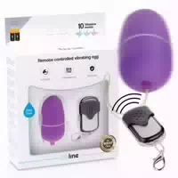 Online Vibro Ei mit Fernbedienung