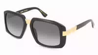 Dsquared2 D2 0178 S
