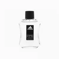 0.1 l