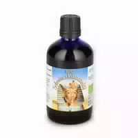 Dynamis Ägyptisches Schwarzkümmelöl Bio Kaltgepresst