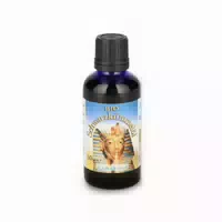 Schwarzkümmel Bio Ägypt Öl 50 Ml Öl
