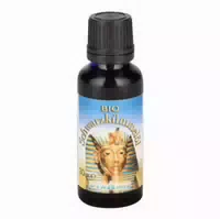 Schwarzkümmel Bio Ägypt Öl
